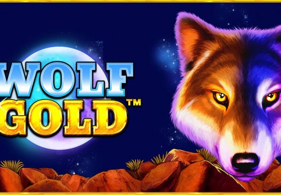 wolf gold oyunu nasıl oynanır